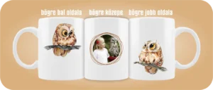 Baglyos bögre 07